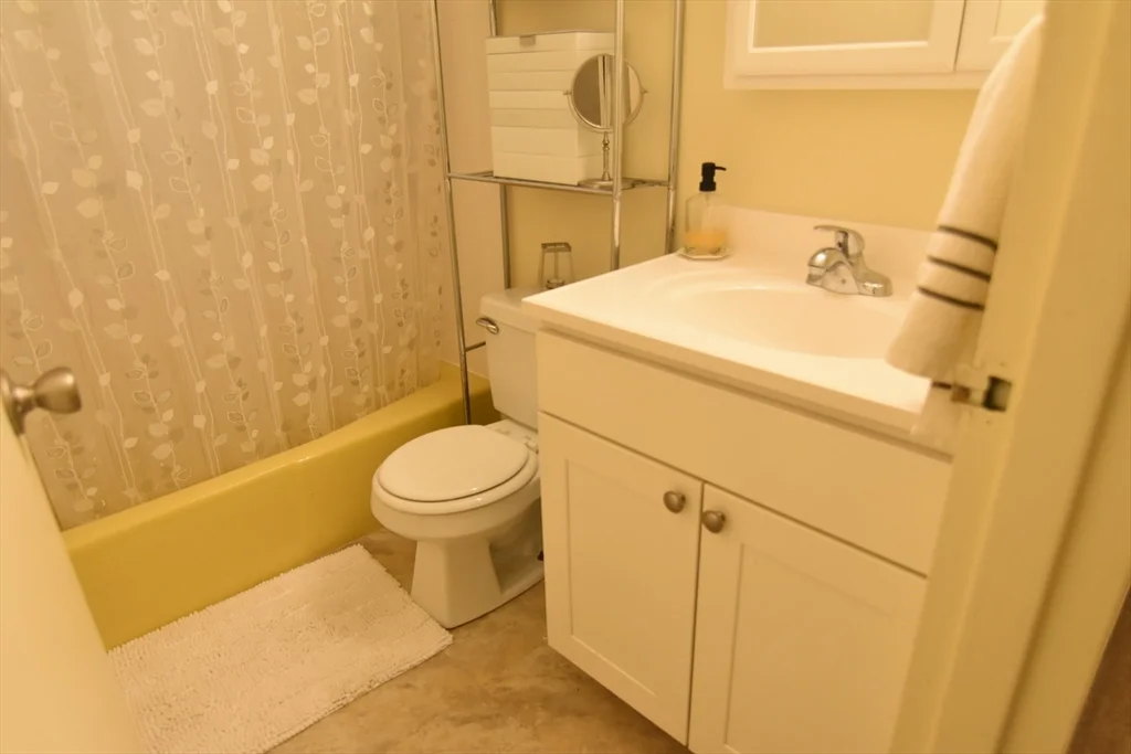 1 bed, 1 bath apartment for rent at 5 Royce Rd Unit 6, Allston — photo 11 of 16