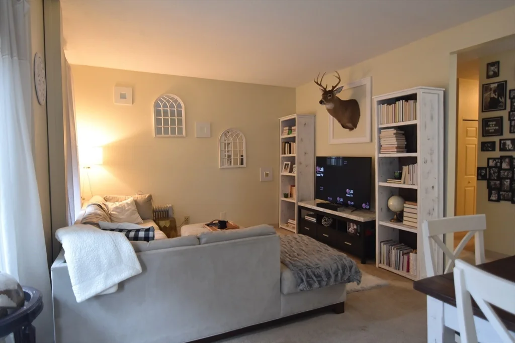 1 bed, 1 bath apartment for rent at 5 Royce Rd Unit 6, Allston — photo 6 of 16