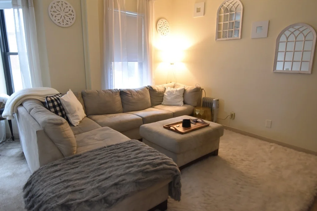 1 bed, 1 bath apartment for rent at 5 Royce Rd Unit 6, Allston — photo 7 of 16