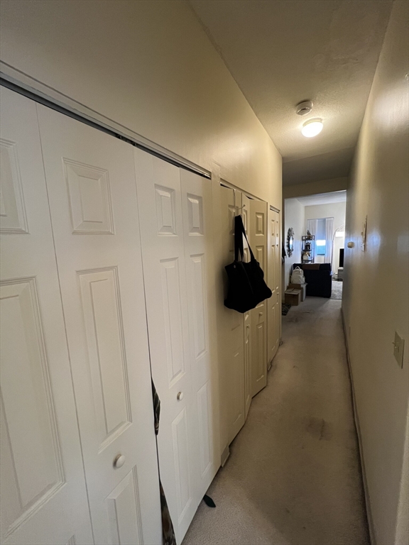 1 bed, 1 bath apartment for rent at 5 Royce Unit 24, Brighton — photo 4 of 9