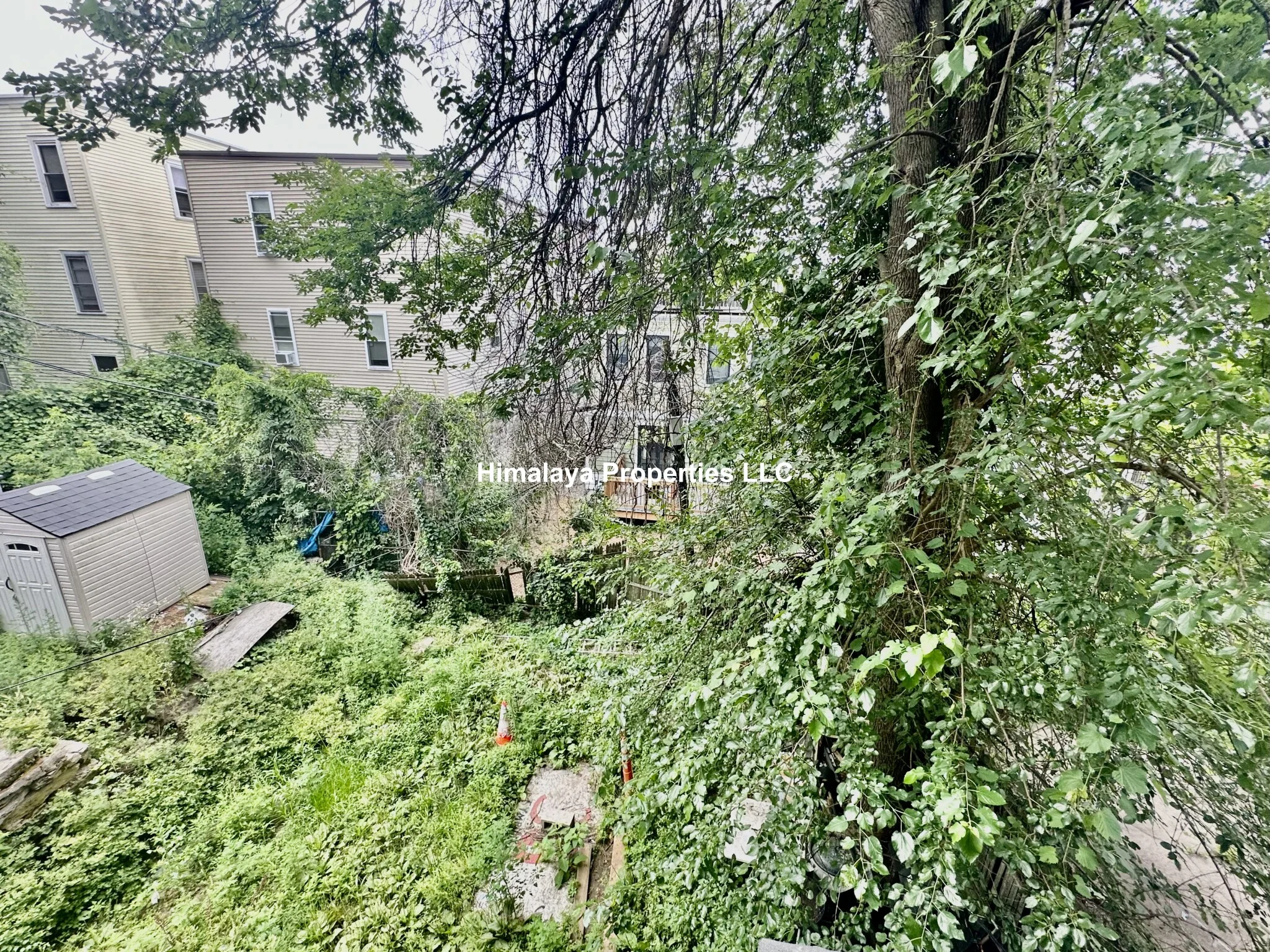 4 bed, 1 bath apartment for rent at 5 Sachem St Unit 2, Mission Hill — photo 12 of 12