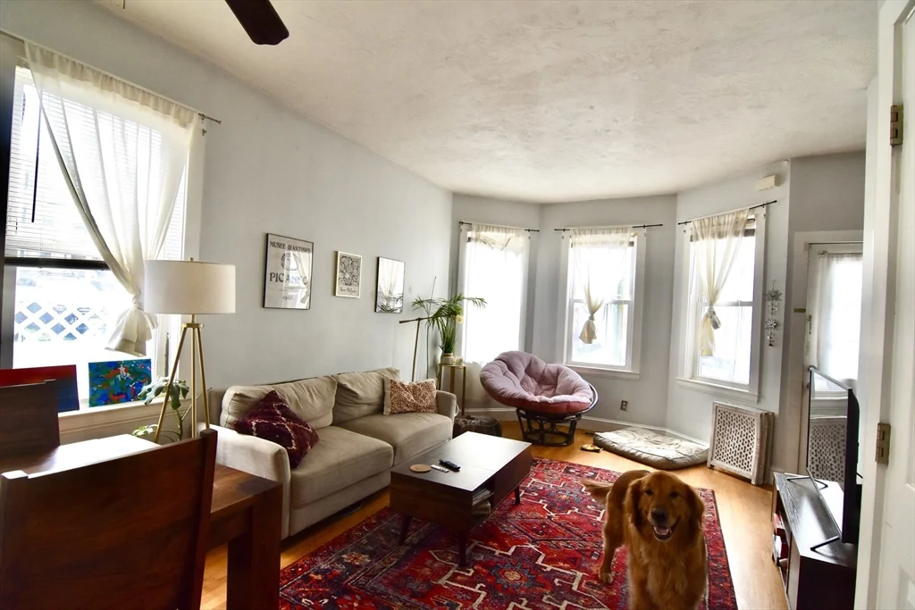 2 bed, 1 bath apartment for rent at 5 Sea View Ter Unit 3, Dorchester — photo 13 of 16