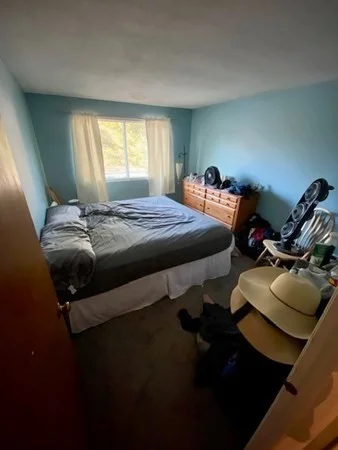 1 bed, 1 bath apartment for rent at 5 Turnpike Rd Unit 137, Townsend — photo 10 of 15