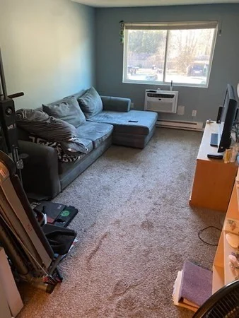 1 bed, 1 bath apartment for rent at 5 Turnpike Rd Unit 137, Townsend — photo 7 of 15