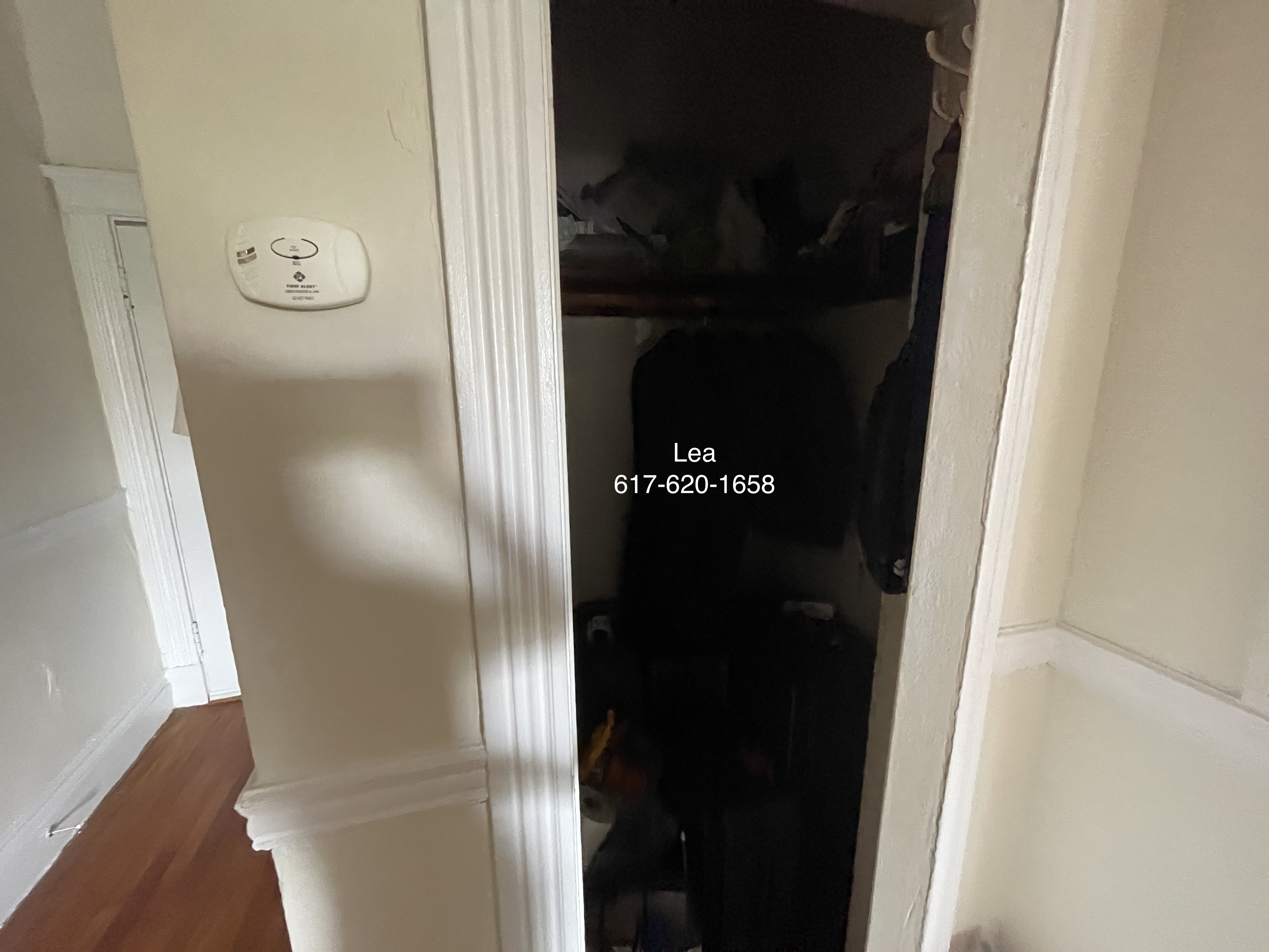 1 bed, 1 bath apartment for rent at 5 Walbridge St Unit 18, Brighton — photo 6 of 11