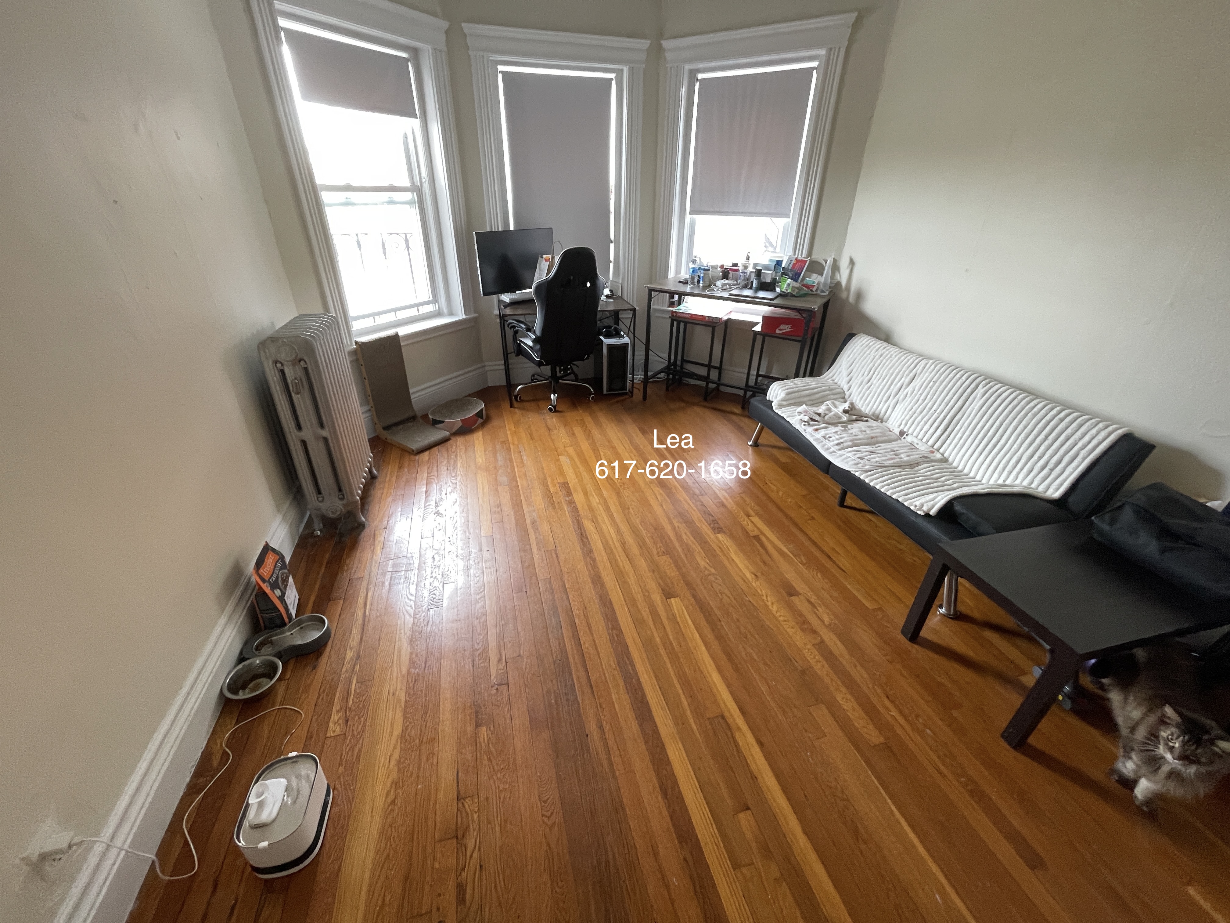 1 bed, 1 bath apartment for rent at 5 Walbridge St Unit 18, Brighton — photo 2 of 11