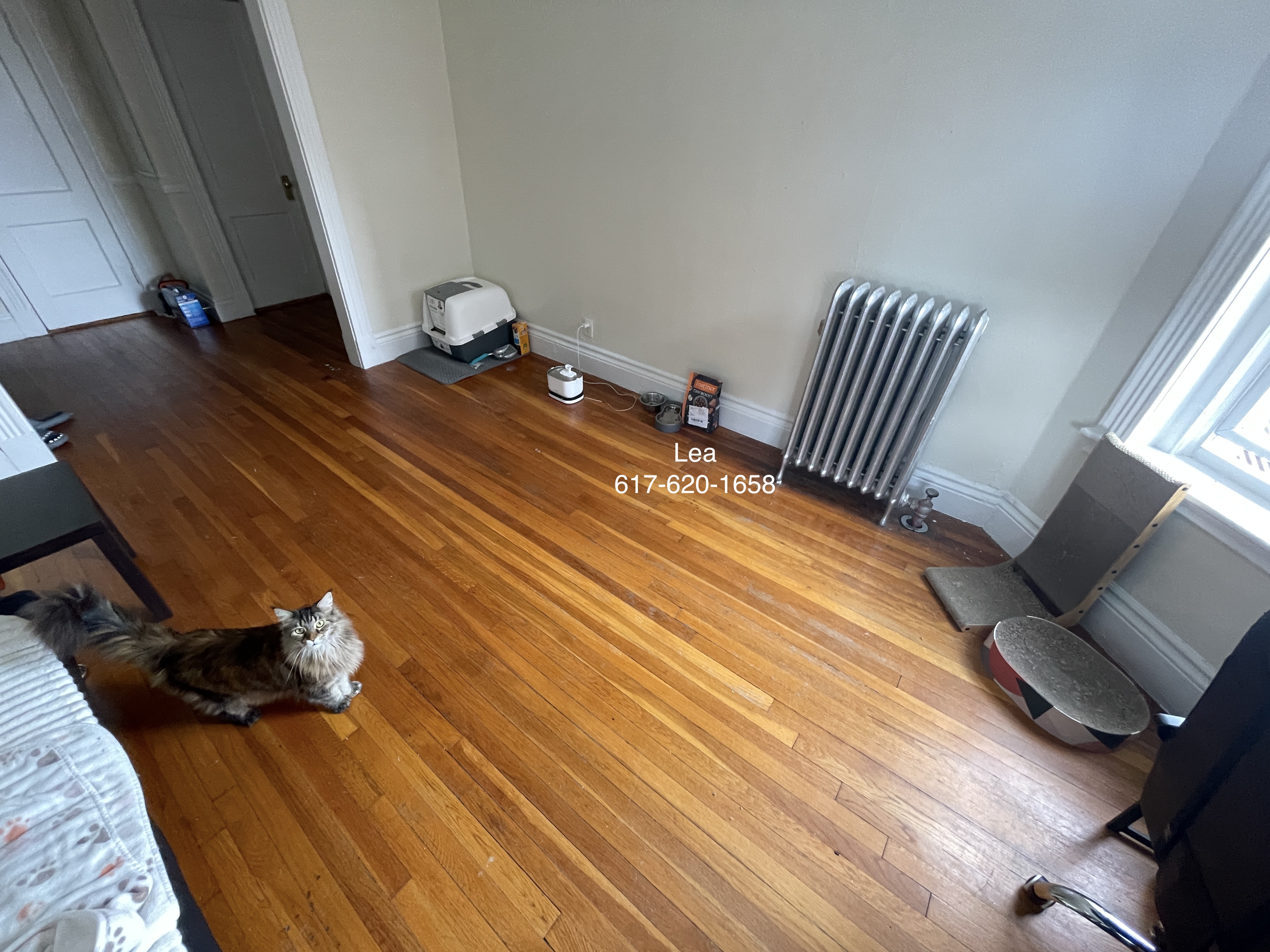 1 bed, 1 bath apartment for rent at 5 Walbridge St Unit 18, Brighton — photo 4 of 11