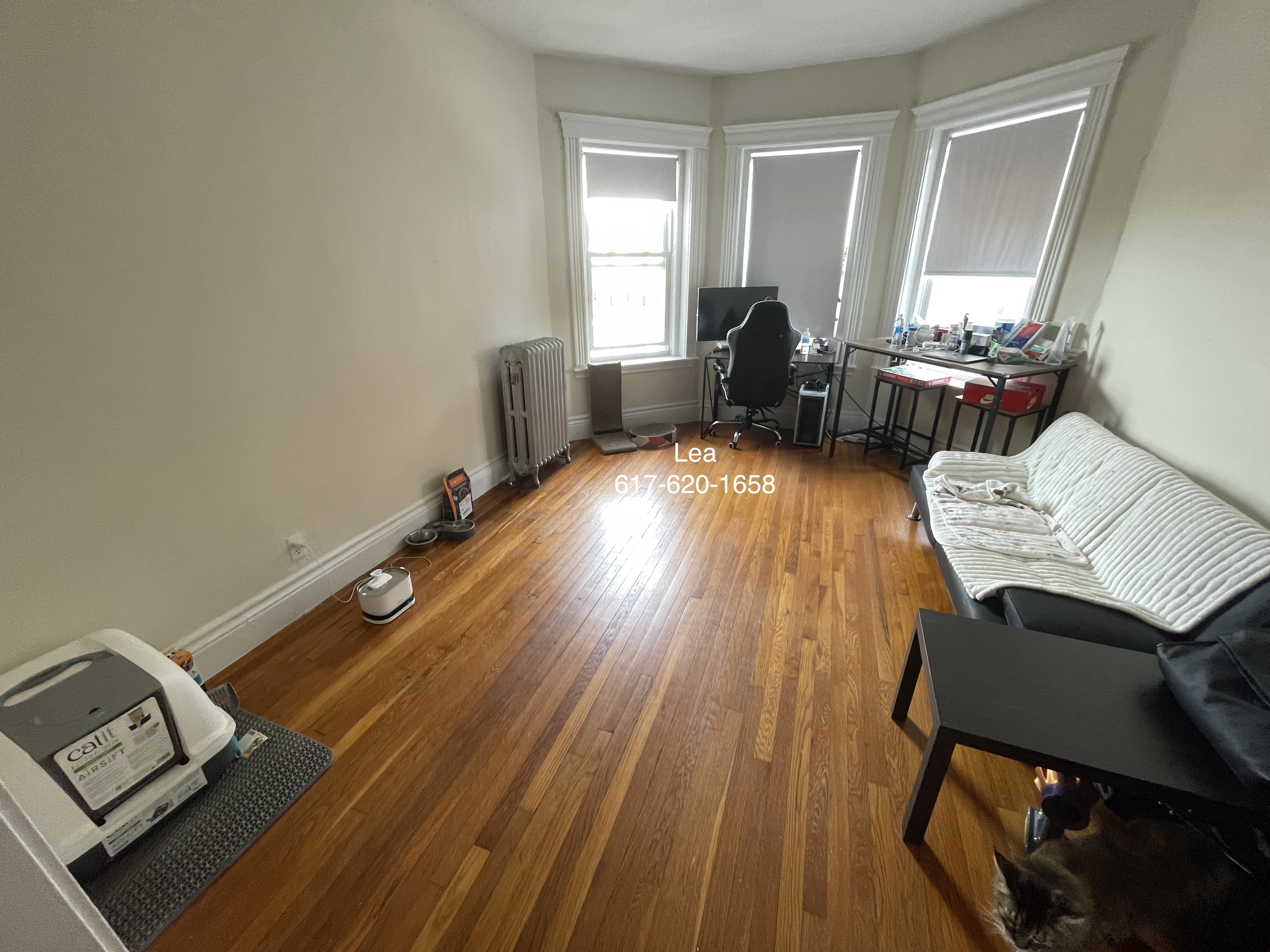 1 bed, 1 bath apartment for rent at 5 Walbridge St Unit 18, Brighton — photo 1 of 11