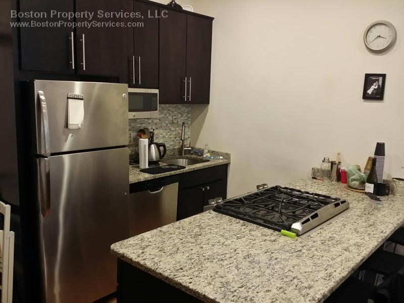 4 bed, 3 bath apartment for rent at 5 Wigglesworth St Unit 1, Mission Hill — photo 6 of 14