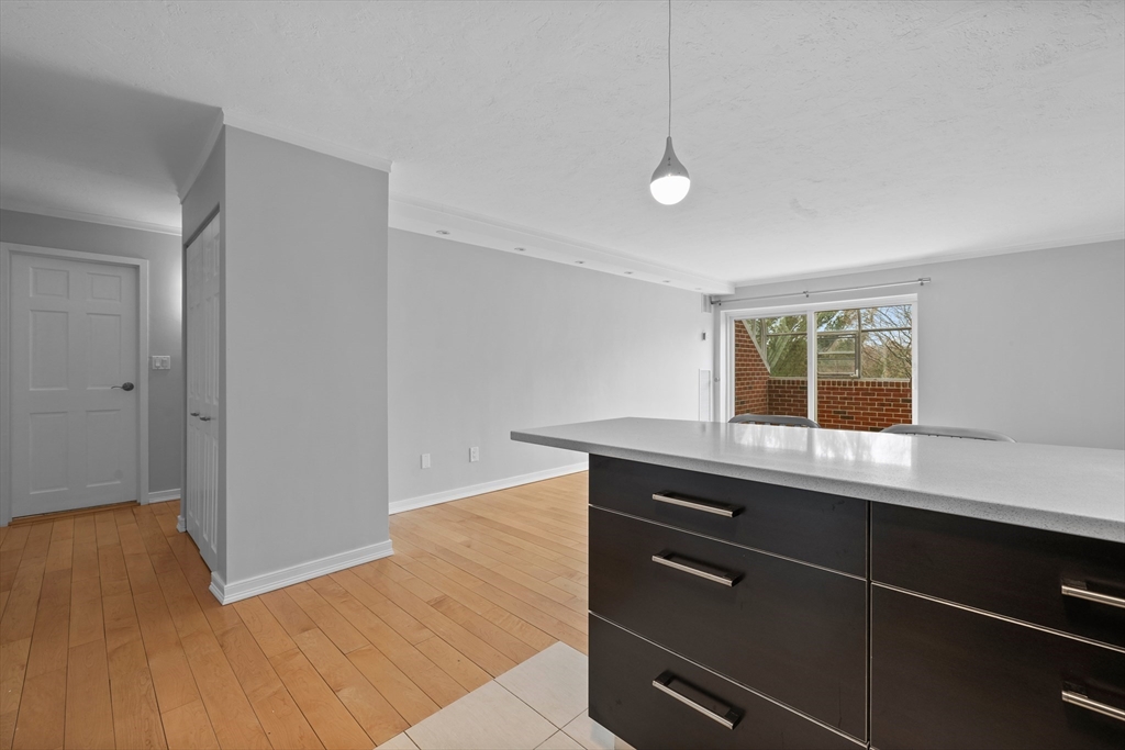 1 bed, 1 bath apartment for rent at 50-56 Broadlawn Park Unit 506, Boston — photo 5 of 16