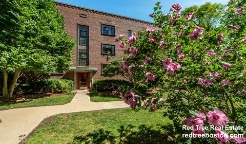 2 bed, 1 bath apartment for rent at 50 Alton Pl Unit 3, Coolidge Corner — photo 10 of 11