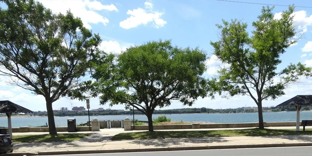 2 bed, 2 bath apartment for rent at 50 B St Unit 6, South Boston — photo 15 of 16