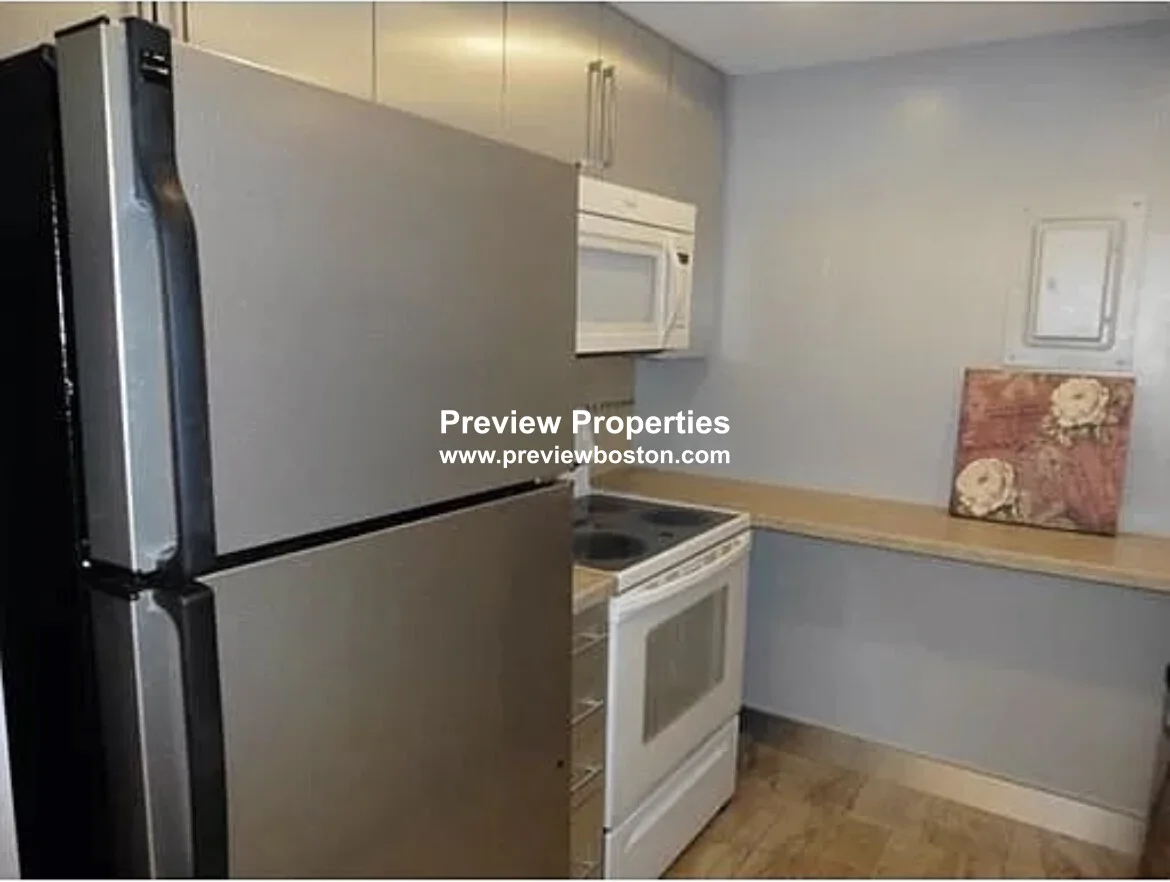 2 bed, 2 bath apartment for rent at 50 Broadlawn Park Unit 410P, Chestnut Hill — photo 2 of 24