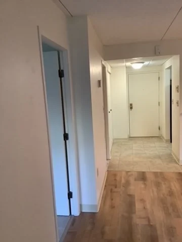 1 bed, 1 bath apartment for rent at 50 Cambridge Rd Unit 201, Woburn — photo 5 of 9