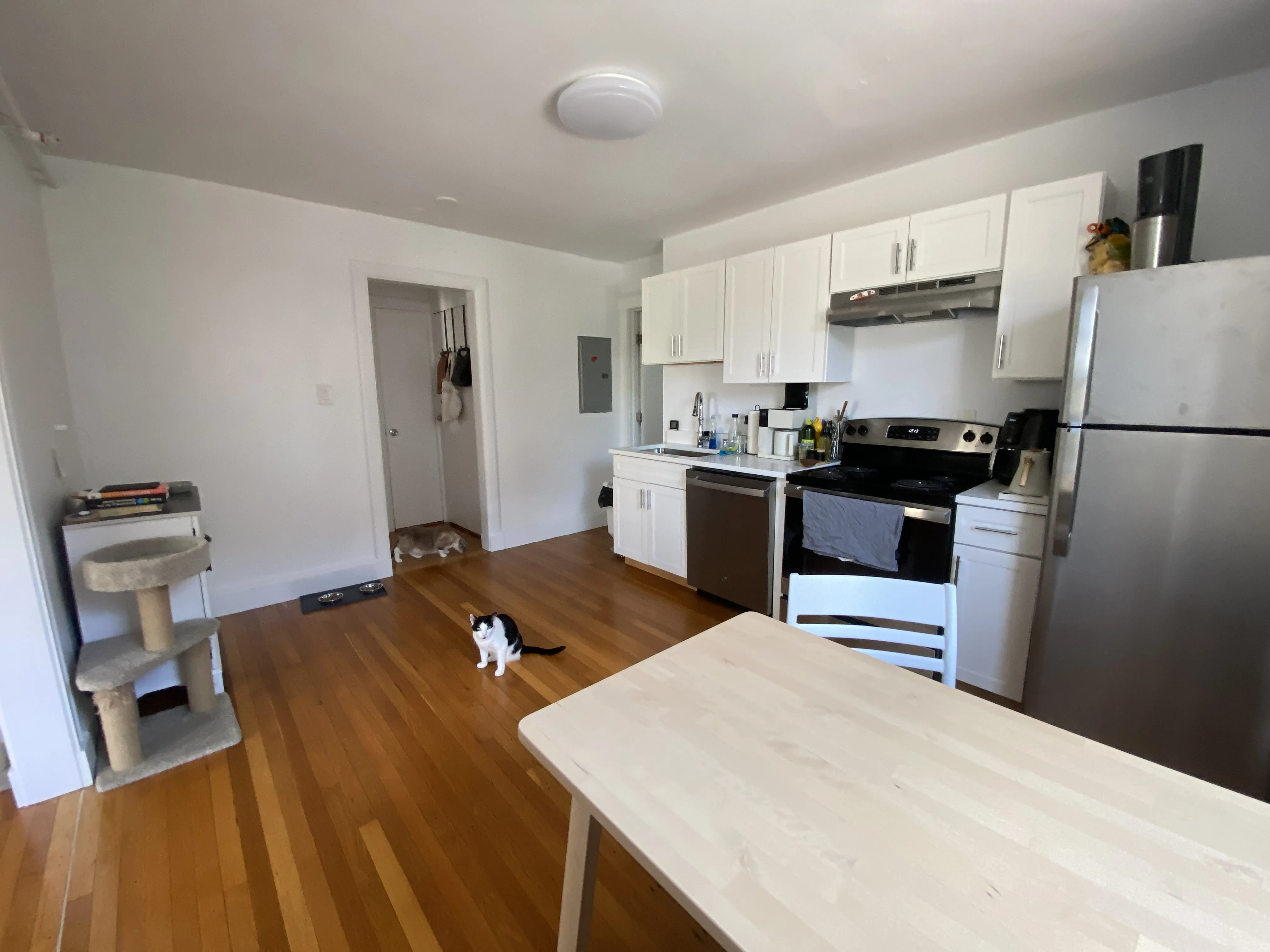 1 bed, 1 bath apartment for rent at 50 Englewood Ave Unit 3, Brighton — photo 10 of 15