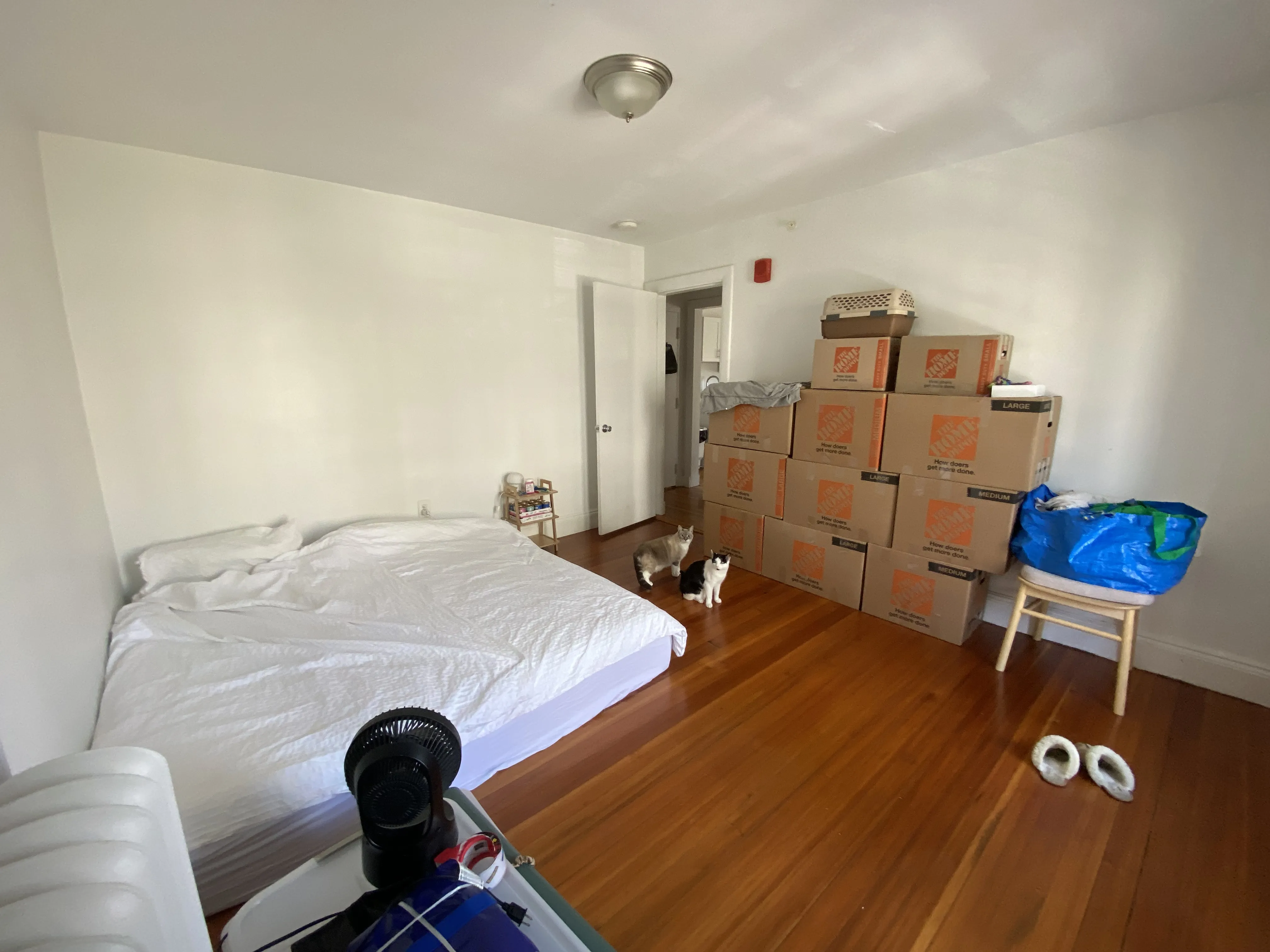 1 bed, 1 bath apartment for rent at 50 Englewood Ave Unit 3, Brighton — photo 12 of 15
