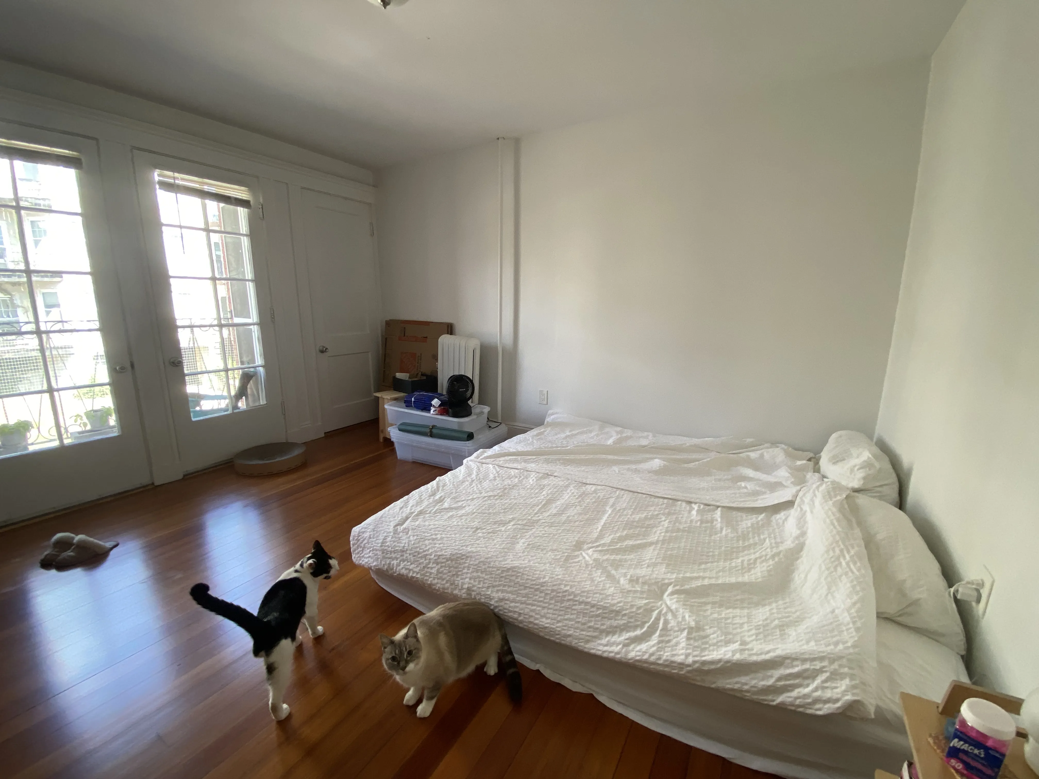 1 bed, 1 bath apartment for rent at 50 Englewood Ave Unit 3, Brighton — photo 11 of 15