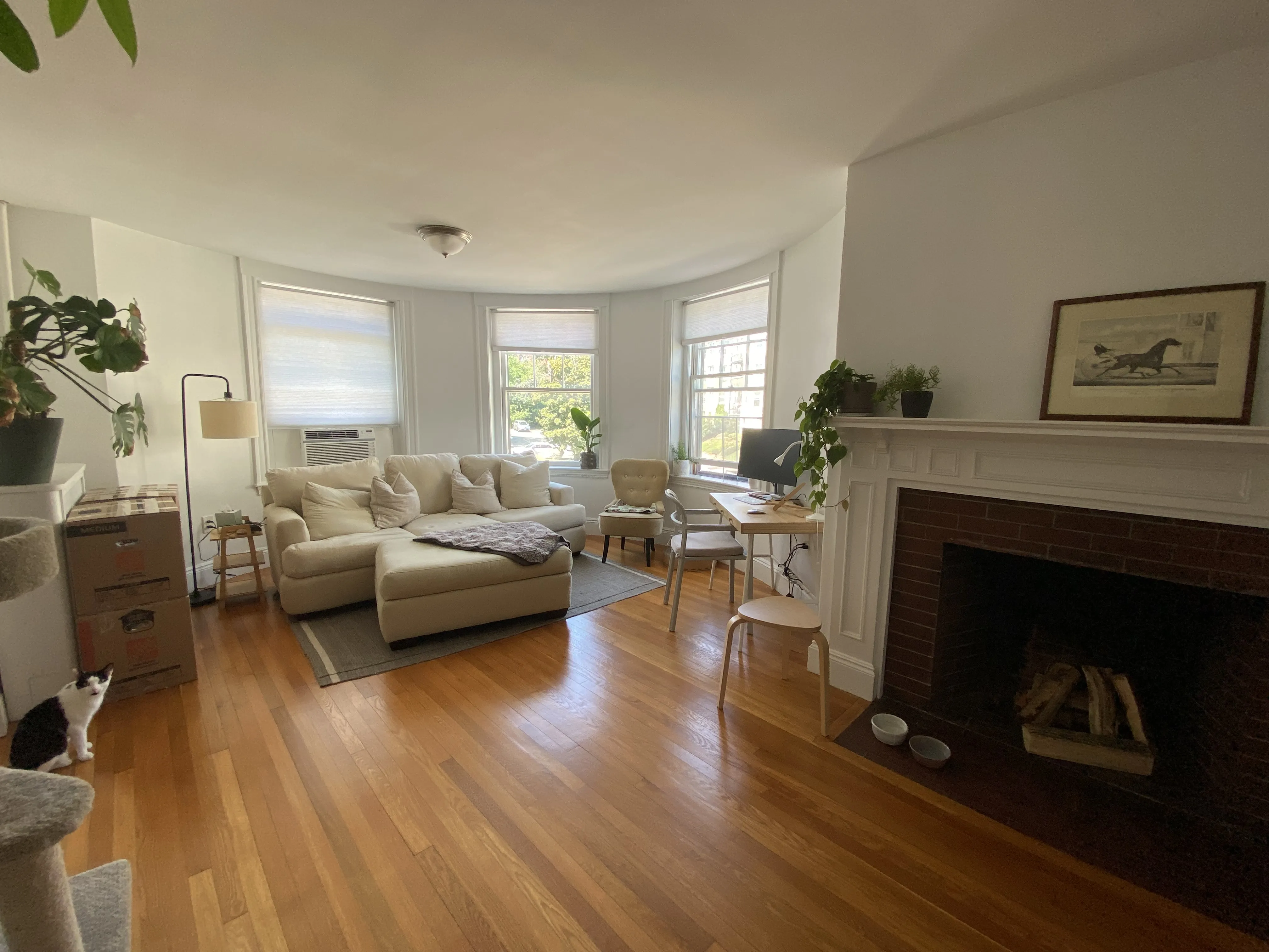 1 bed, 1 bath apartment for rent at 50 Englewood Ave Unit 3, Brighton