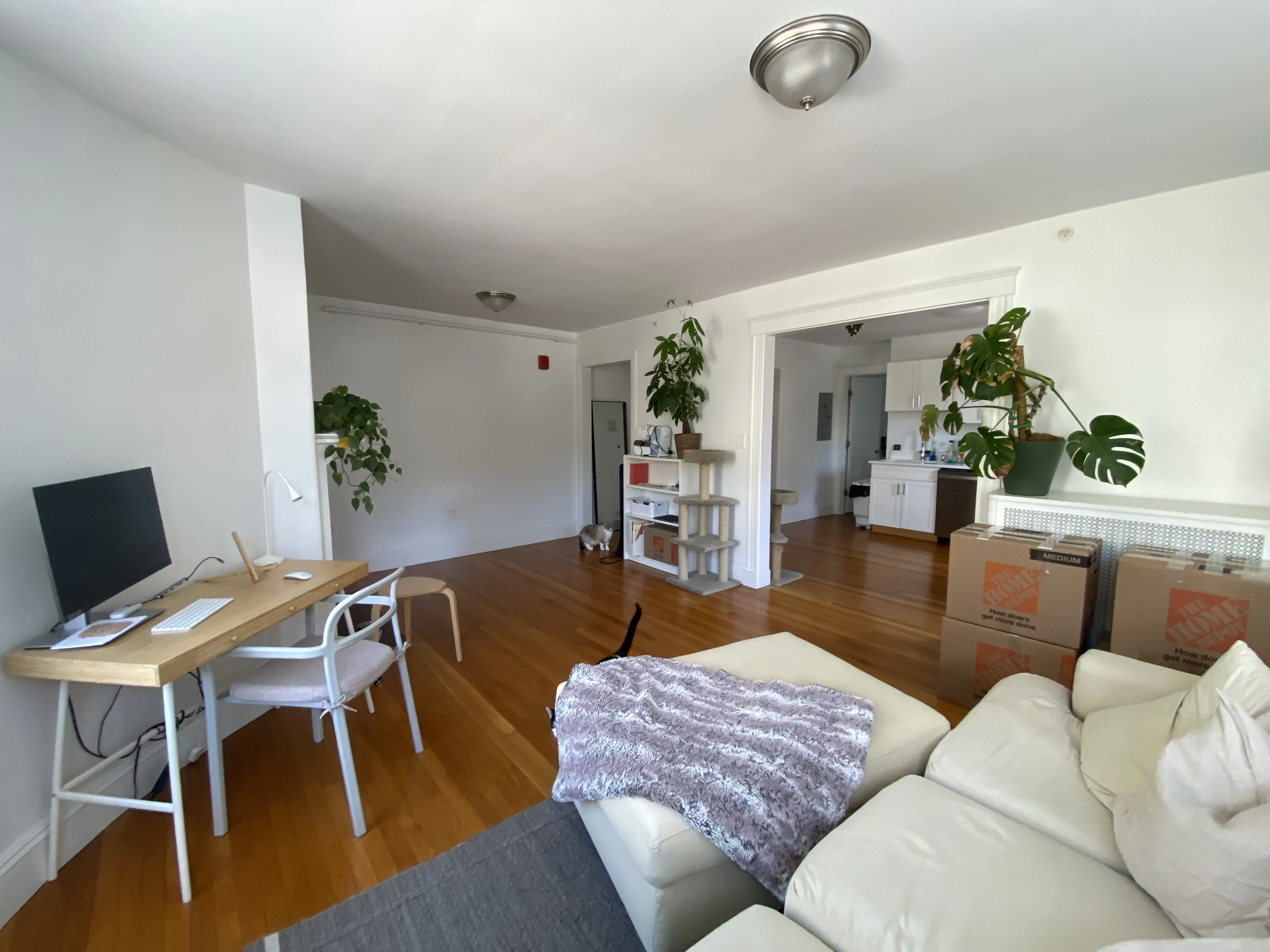 1 bed, 1 bath apartment for rent at 50 Englewood Ave Unit 3A, Brighton — photo 4 of 10