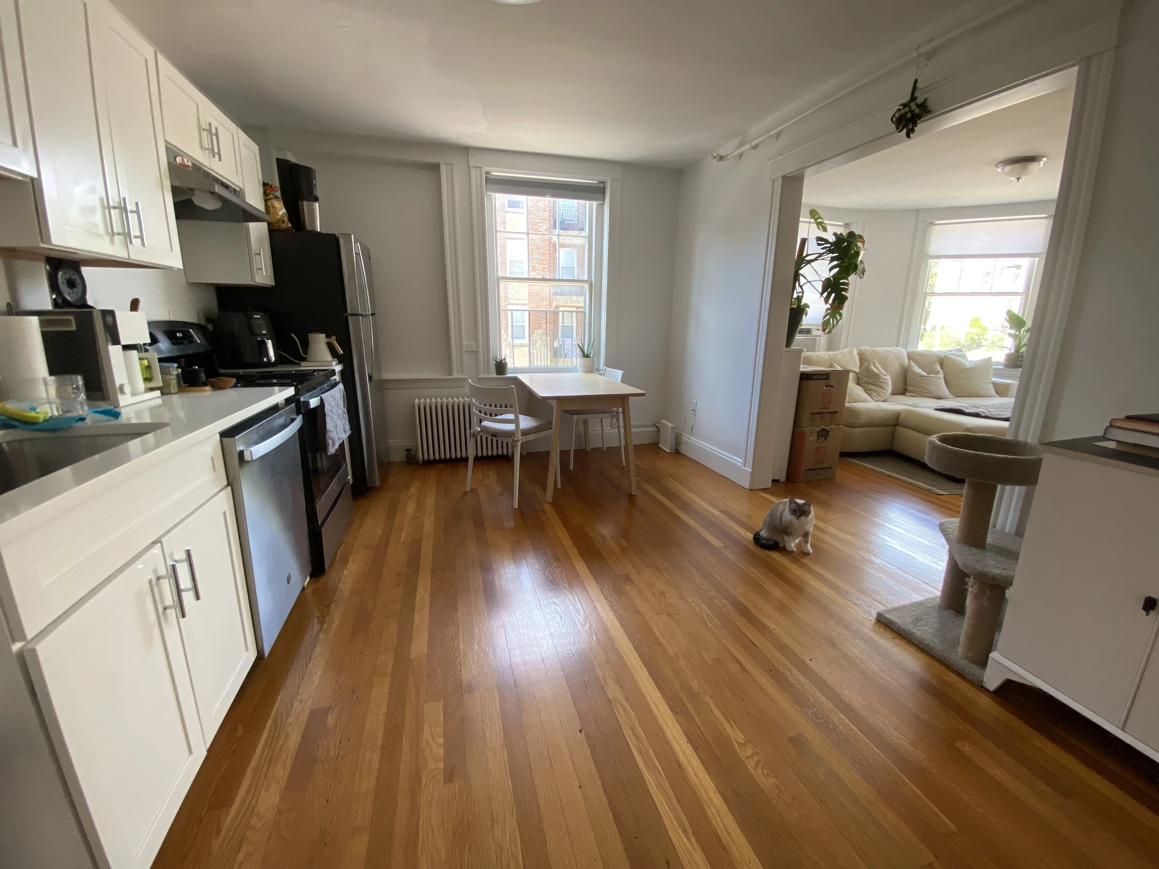 1 bed, 1 bath apartment for rent at 50 Englewood Ave Unit 3A, Brighton — photo 5 of 10