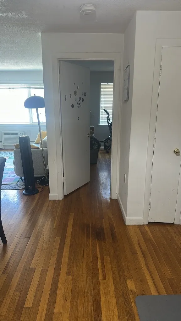 1 bed, 1 bath apartment for rent at 50 Evergreen St Unit 33, Jamaica Plain — photo 5 of 5