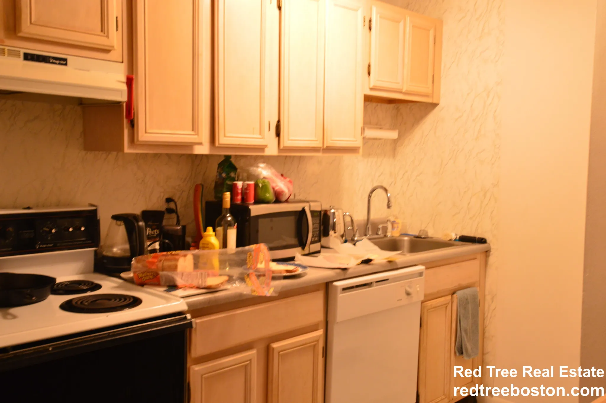 1 bed, 1 bath apartment for rent at 50 Evergreen St Unit 33, Jamaica Plain — photo 16 of 25