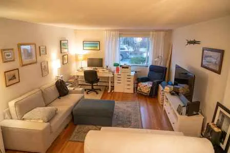 1 bed, 1 bath apartment for rent at 50 Green St Unit 102, Coolidge Corner — photo 11 of 20