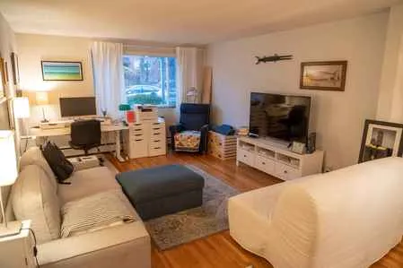 1 bed, 1 bath apartment for rent at 50 Green St Unit 102, Coolidge Corner — photo 6 of 20