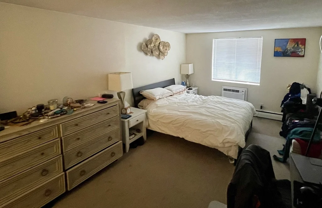 2 bed, 2 bath apartment for rent at 50 Green St Unit 109, Coolidge Corner — photo 9 of 17