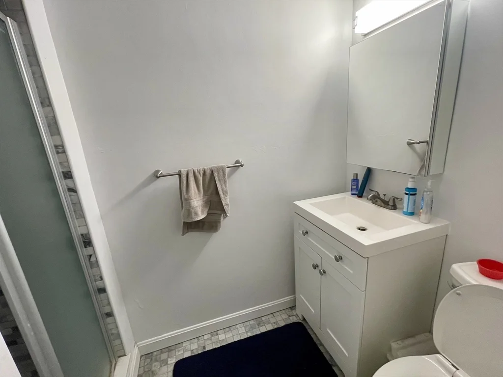 2 bed, 2 bath apartment for rent at 50 Green St Unit 109, Coolidge Corner — photo 12 of 17