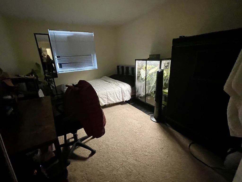 2 bed, 2 bath apartment for rent at 50 Green St Unit 109, Coolidge Corner — photo 11 of 17