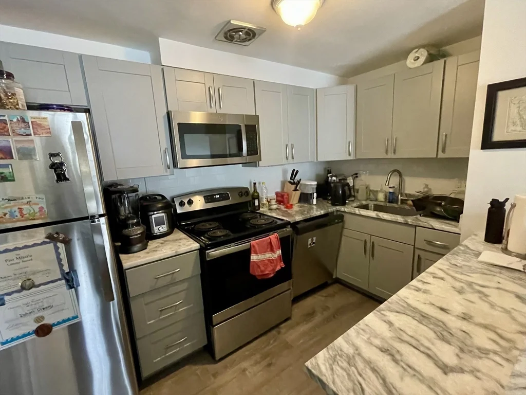 2 bed, 2 bath apartment for rent at 50 Green St Unit 109, Coolidge Corner — photo 8 of 17