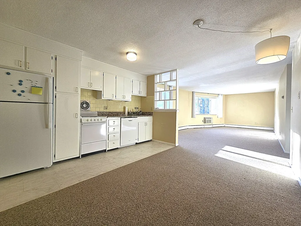 1 bed, 1 bath apartment for rent at 50 Green Unit 316, Coolidge Corner — photo 5 of 9