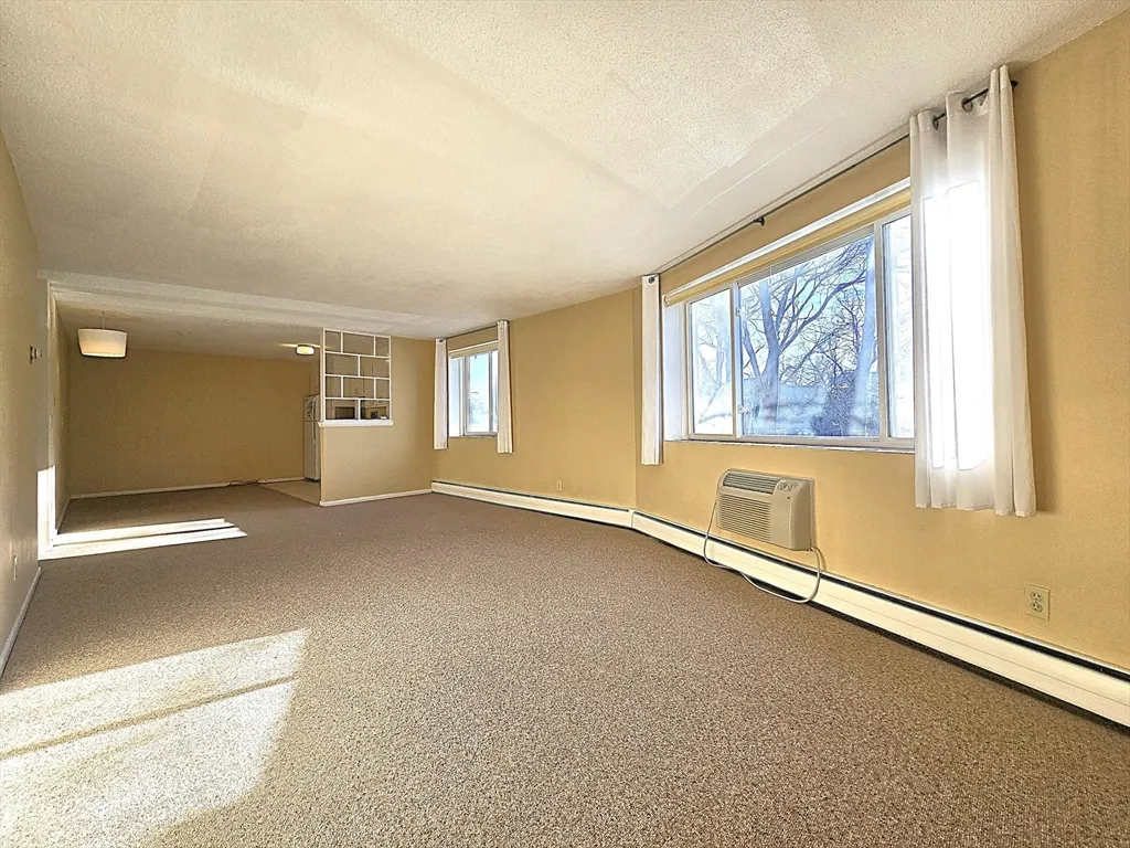 1 bed, 1 bath apartment for rent at 50 Green Unit 316, Coolidge Corner — photo 1 of 9