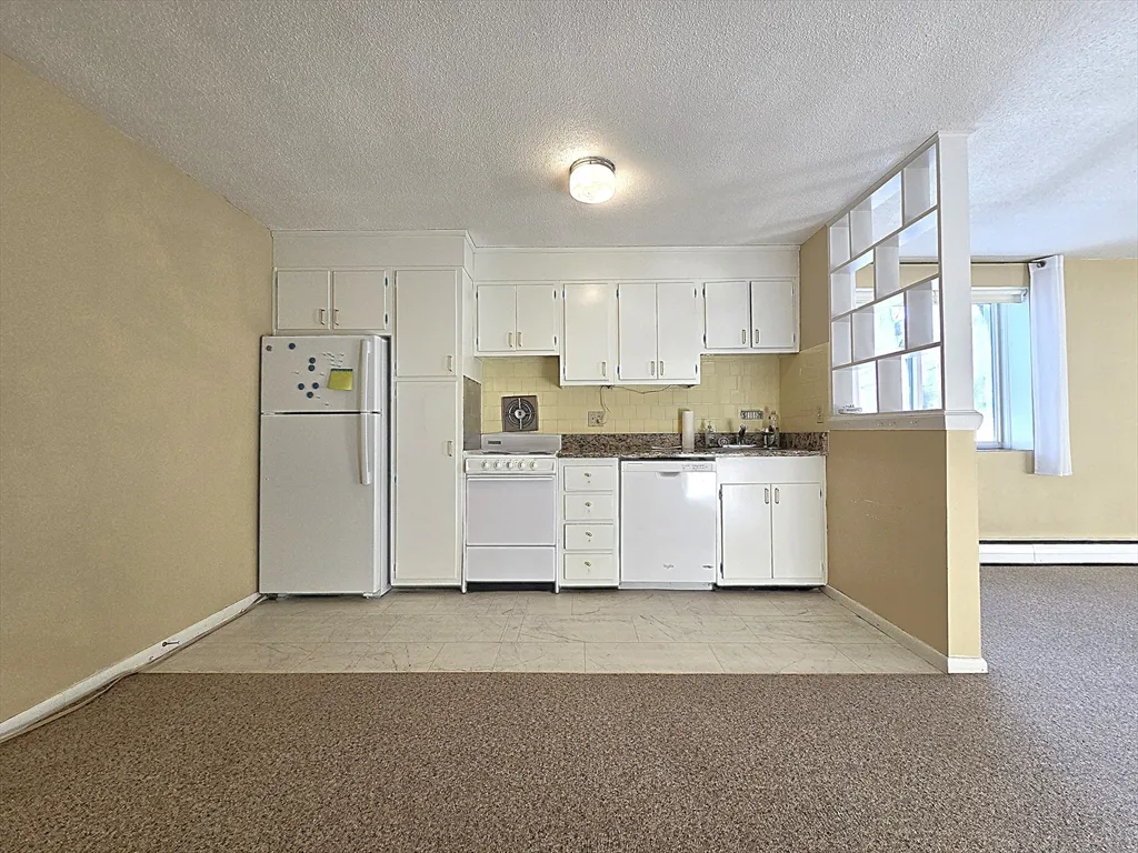 1 bed, 1 bath apartment for rent at 50 Green Unit 316, Coolidge Corner — photo 4 of 9
