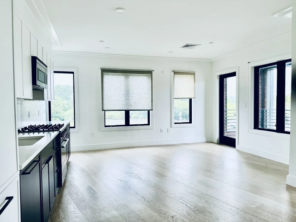1 bed, 1 bath apartment for rent at 50 Leo M Birmingham Pkwy Unit 201, Brighton — photo 4 of 28