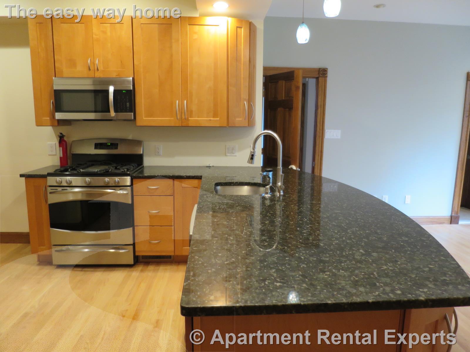 2 bed, 2 bath apartment for rent at 50 Meacham Rd Unit 1, Davis Square — photo 5 of 19