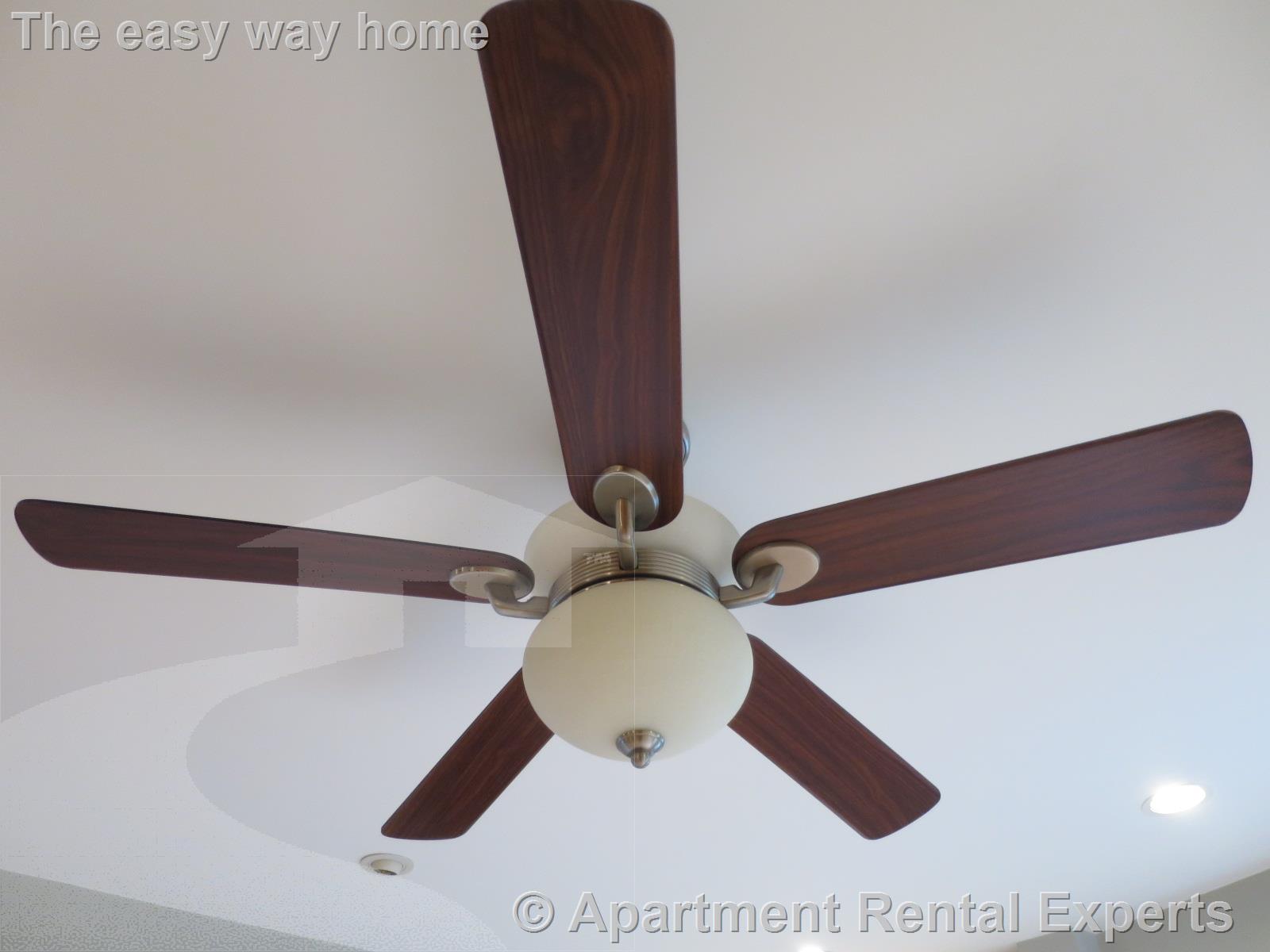 2 bed, 2 bath apartment for rent at 50 Meacham Rd Unit 1, Davis Square — photo 9 of 19