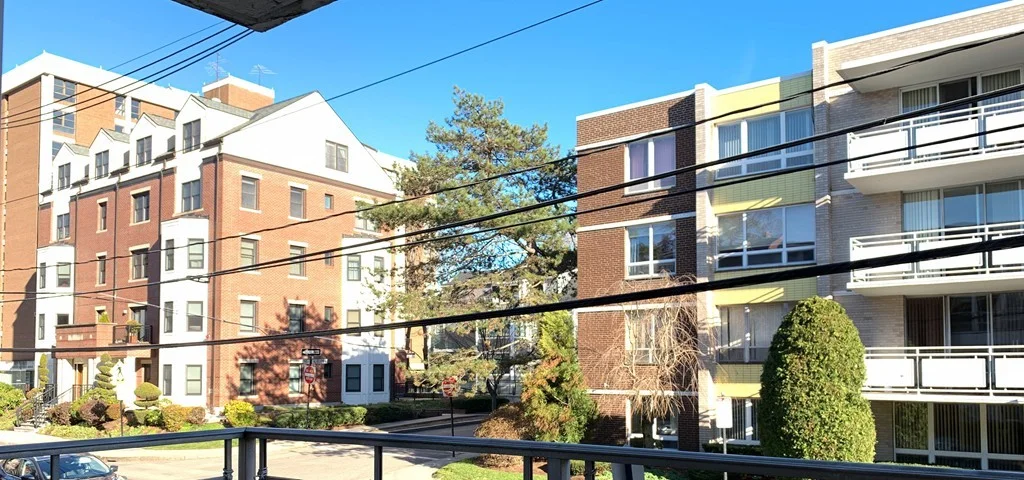 2 bed, 2 bath apartment for rent at 50 Park St Unit 21, Coolidge Corner — photo 14 of 17