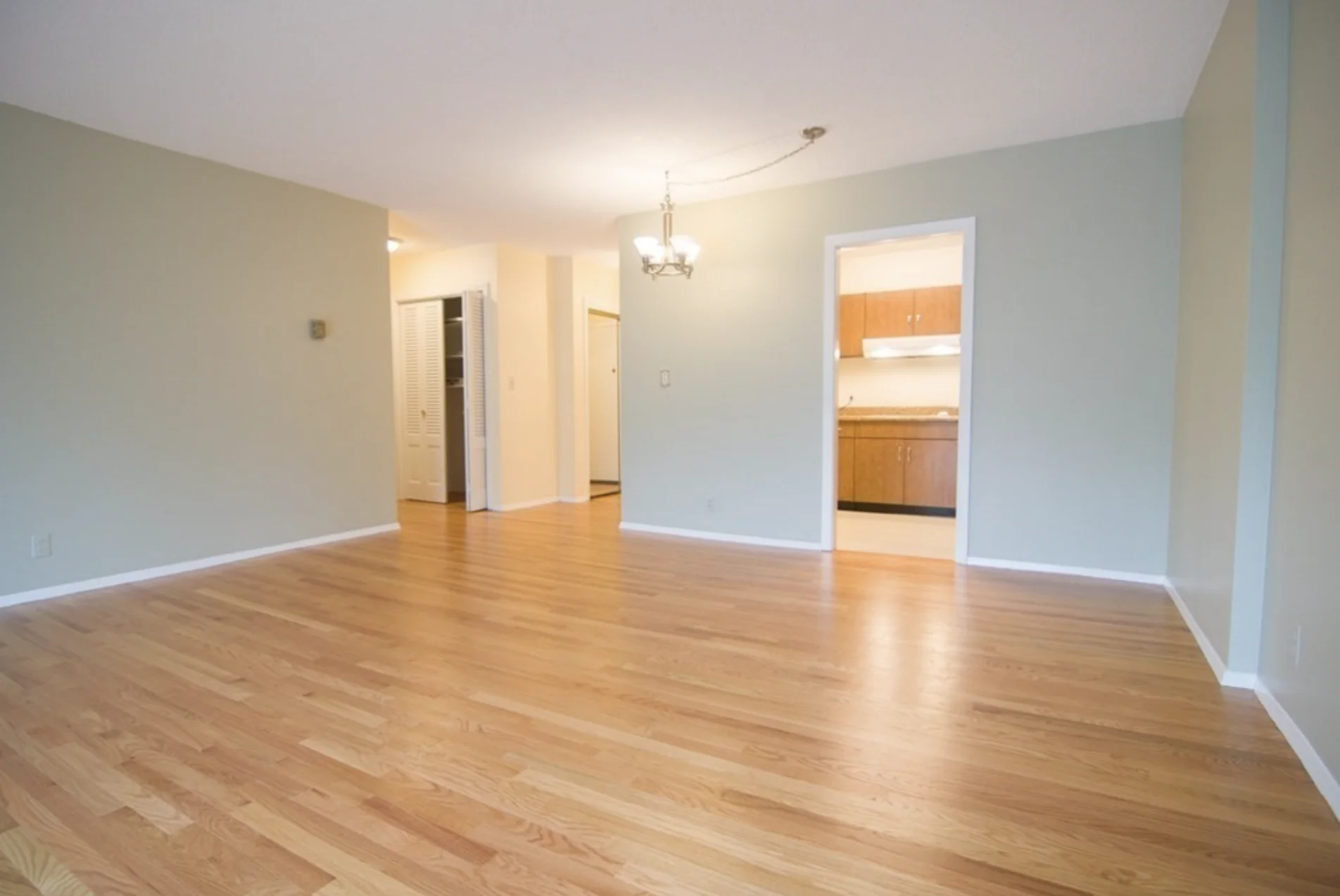 1 bed, 1 bath apartment for rent at 50 Park St Unit 36, Coolidge Corner — photo 4 of 12