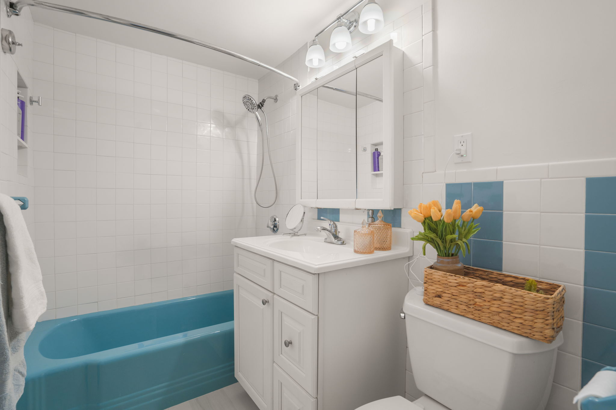 1 bed, 1 bath apartment for rent at 50 Park St Unit 45, Brookline — photo 5 of 11