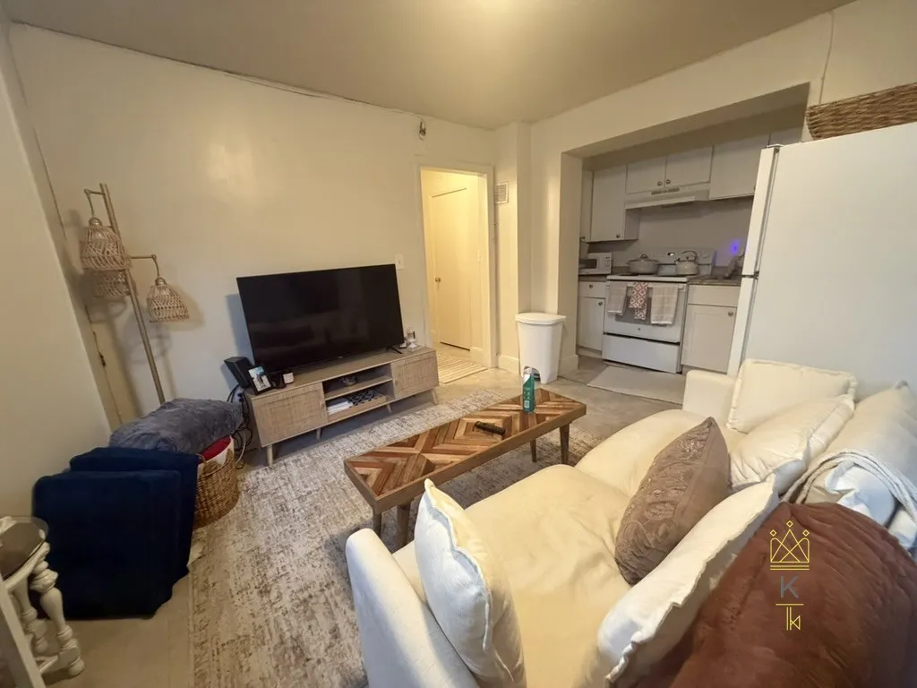 1 bed, 1 bath apartment for rent at 50 Parkman St Unit 3B, Coolidge Corner — photo 4 of 6