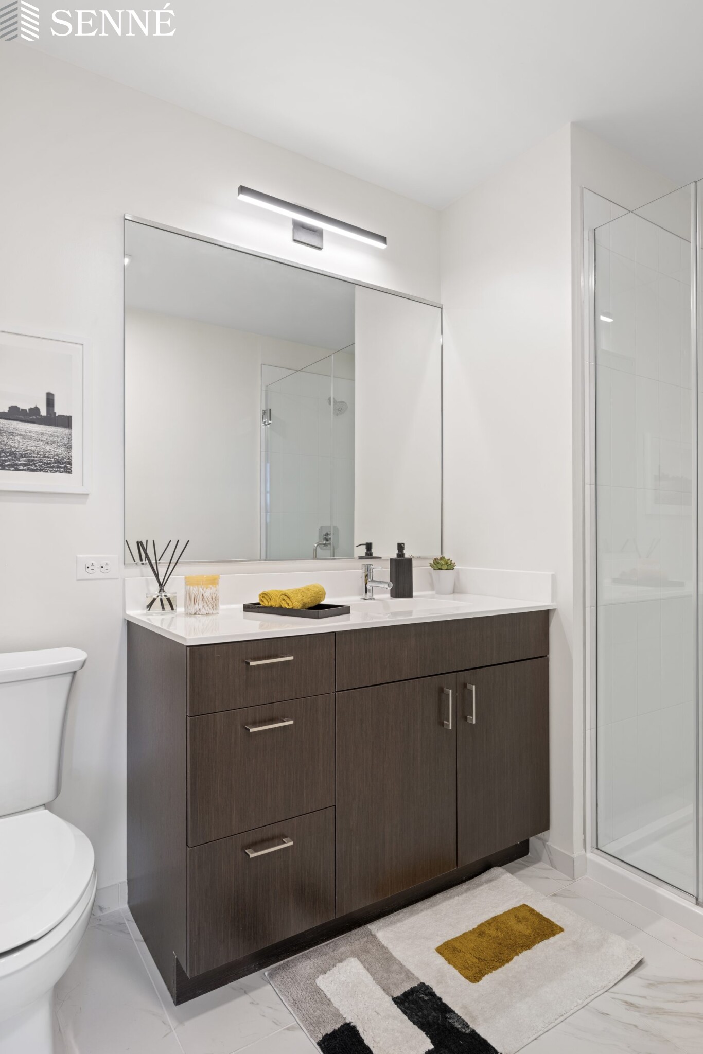 2 bed, 2 bath apartment for rent at 50 Prospect St Unit 2 BED 2 BATH, Union Square — photo 5 of 15