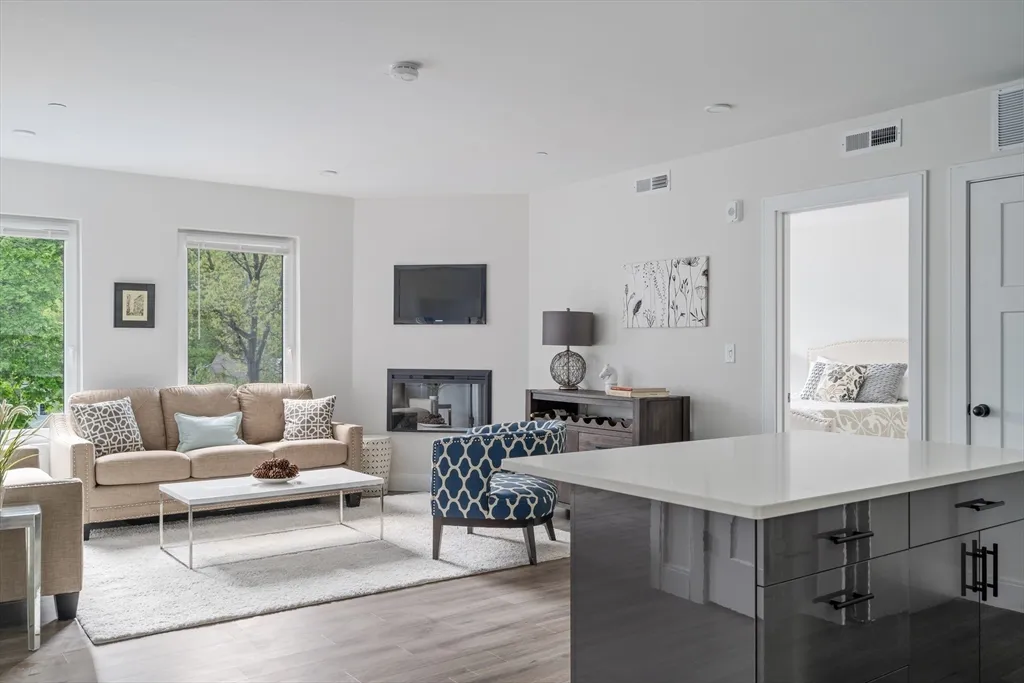 1 bed, 1 bath apartment for rent at 50 Stedman St Unit 101, Jamaica Plain — photo 6 of 16