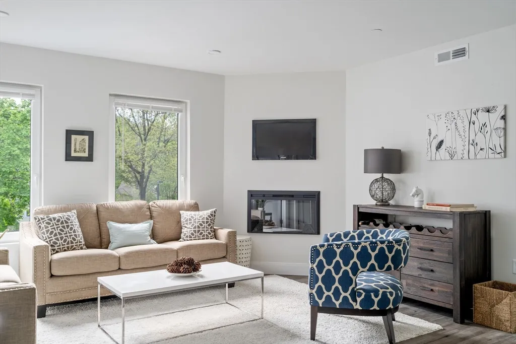 1 bed, 1 bath apartment for rent at 50 Stedman St Unit 203, Jamaica Plain — photo 2 of 16