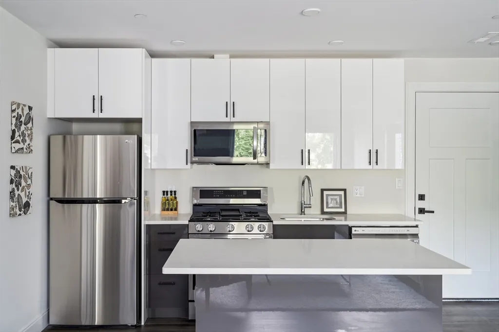 1 bed, 1 bath apartment for rent at 50 Stedman St Unit 203, Jamaica Plain — photo 9 of 16