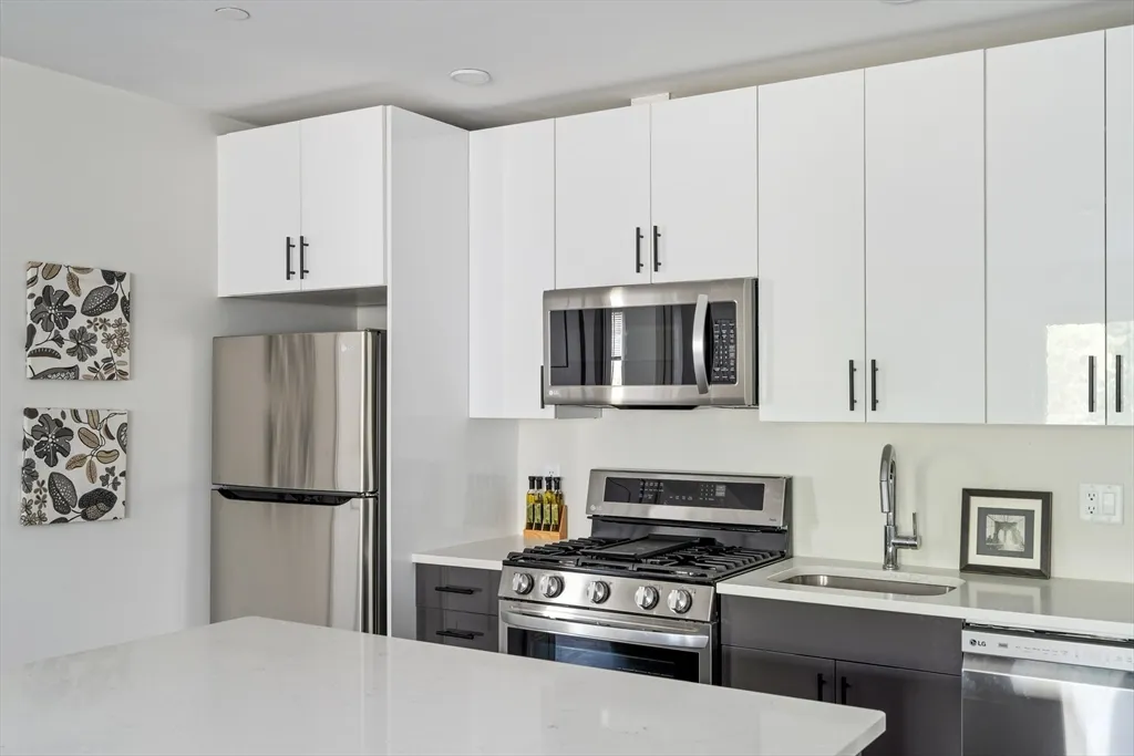 1 bed, 1 bath apartment for rent at 50 Stedman St Unit 203, Jamaica Plain — photo 5 of 16