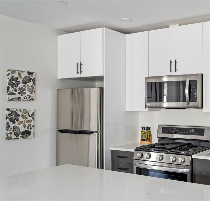 1 bed, 1 bath apartment for rent at 50 Stedman St Unit 208, Jamaica Plain — photo 2 of 4