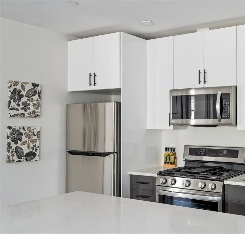 1 bed, 1 bath apartment for rent at 50 Stedman St Unit 308, Jamaica Plain — photo 4 of 4