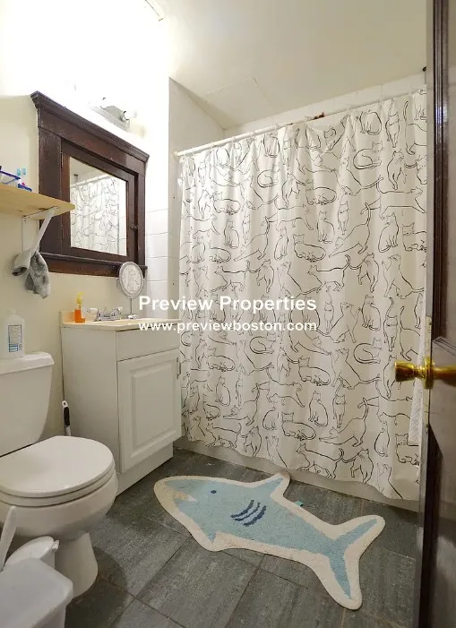3 bed, 1 bath apartment for rent at 50 Tremont St Unit 1P, Oak Square — photo 3 of 11